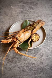 Shisho Butter Lobster Robata Kikoba 1 683x1024 1