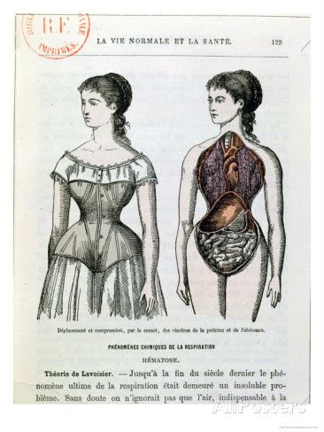 The effects of a corset waist training