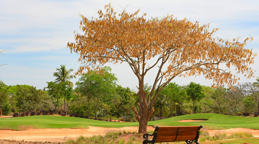JW Marriott Bengaluru Prestige Golfshire Resort & Spa FI