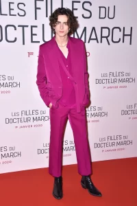 Timothée's monochromatic Louis Vuitton suit at a Beautiful Boy, How  Timothée Chalamet Became One of the Best-Dressed Stars of Our Generation