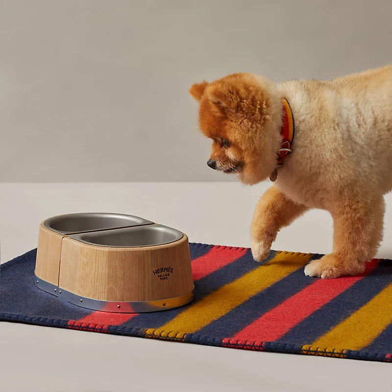 6 designer pet accessories for autumn, from Louis Vuitton's stylish collar  and Tiffany's signature blue set, to Versace's raincoat and Hermès' dog bed