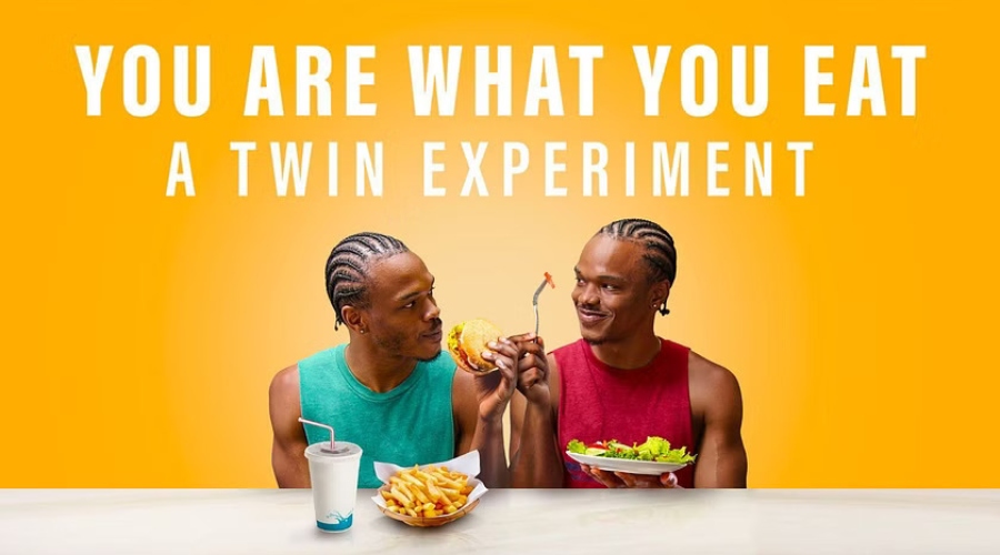 twin experiment