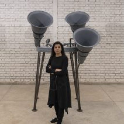 Reena Kallat - With Her Sculpture - Solo Show Blind Spots