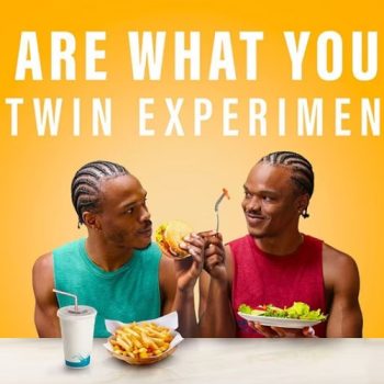 twin experiment